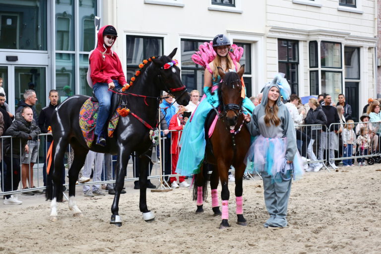 Uitslag ringsteken Paardenmarkt Vianen 2024
