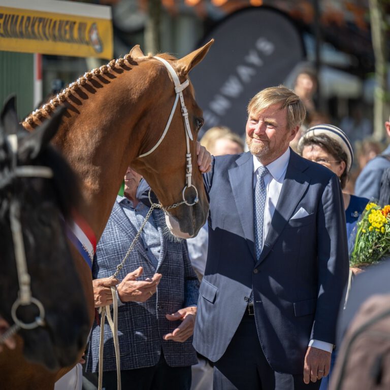 Koninklijk bezoek in vianen